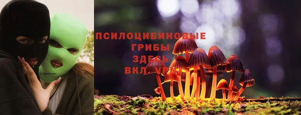 твердый Алексин