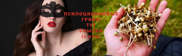 каннабис Алексеевка