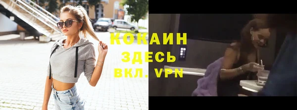 твердый Алексин