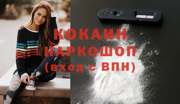 стафф Алзамай