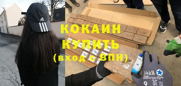 твердый Алексин
