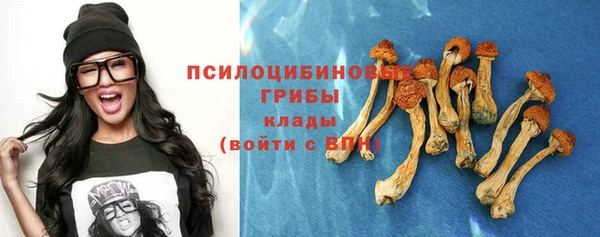 стафф Алзамай