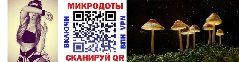 Псилоцибиновые грибы прущие грибы Магадан